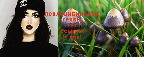 ПСИЛОЦИБИНОВЫЕ ГРИБЫ Покровск