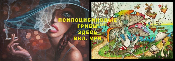 jwh Пересвет