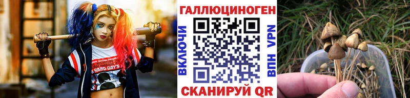Псилоцибиновые грибы мухоморы  omg ONION  Яблоновский  продажа наркотиков 